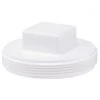 IPEX Canplas 4 In. Square Head PVC Plug -Cheap Varathane Store ItemImage 430698 q5w2pa 859t0o e2pjya