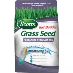Scotts Turf Builder 3 Lb. Up To 1250 Sq. Ft. Coverage Perennial Ryegrass Grass Seed