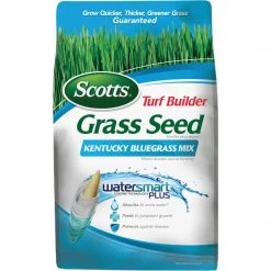 Scotts Turf Builder 3 Lb. Up To 2000 Sq. Ft. Coverage Kentucky Bluegrass Grass Seed